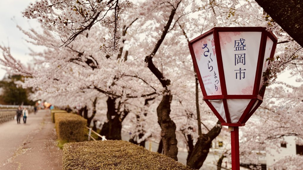 高松の桜